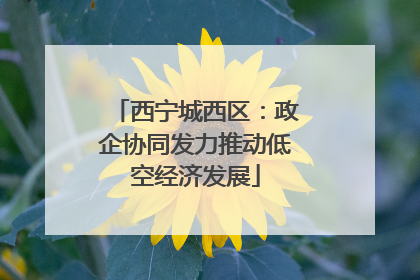 西宁城西区：政企协同发力推动低空经济发展