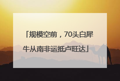规模空前，70头白犀牛从南非运抵卢旺达