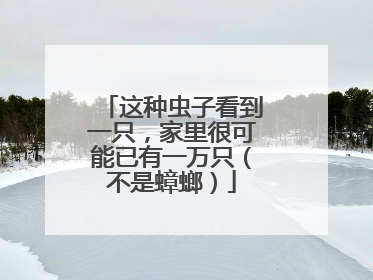 这种虫子看到一只，家里很可能已有一万只（不是蟑螂）