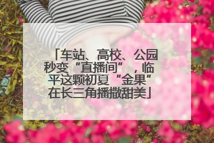 车站、高校、公园秒变“直播间”，临平这颗初夏“金果”在长三角播撒甜美