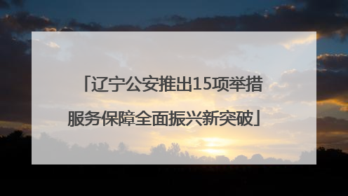 辽宁公安推出15项举措服务保障全面振兴新突破