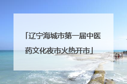 辽宁海城市第一届中医药文化夜市火热开市