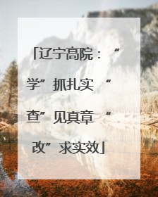 辽宁高院：“学”抓扎实 “查”见真章 “改”求实效