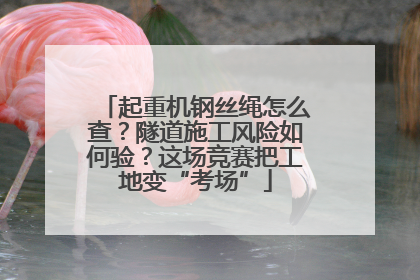 起重机钢丝绳怎么查？隧道施工风险如何验？这场竞赛把工地变“考场”
