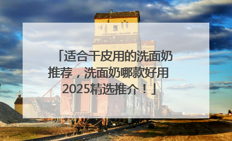 适合干皮用的洗面奶推荐，洗面奶哪款好用2025精选推介！