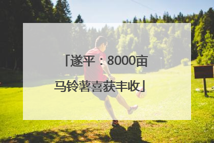 遂平：8000亩马铃薯喜获丰收