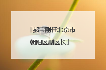 郝宝刚任北京市朝阳区副区长