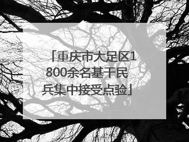 重庆市大足区1800余名基干民兵集中接受点验