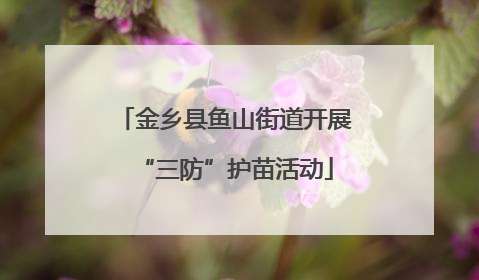 金乡县鱼山街道开展“三防”护苗活动