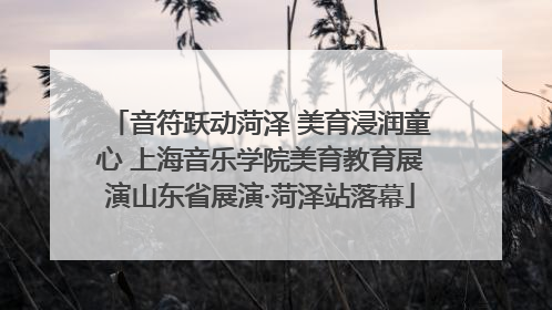 音符跃动菏泽 美育浸润童心 上海音乐学院美育教育展演山东省展演·菏泽站落幕