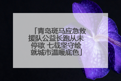 青岛斑马应急救援队公益长跑从未停歇 七载坚守绘就城市温暖底色