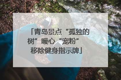 青岛景点“孤独的树”暖心“宠粉” 移除健身指示牌