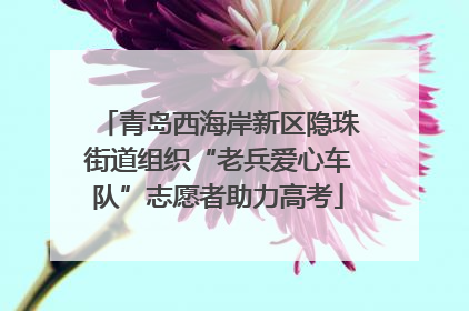 青岛西海岸新区隐珠街道组织“老兵爱心车队”志愿者助力高考