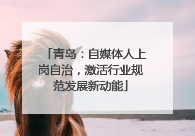 青岛：自媒体人上岗自治，激活行业规范发展新动能