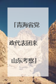 青海省党政代表团来山东考察