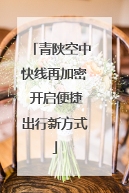 青陕空中快线再加密 开启便捷出行新方式