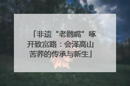非遗“老鹳嘴”啄开致富路：会泽高山苦荞的传承与新生