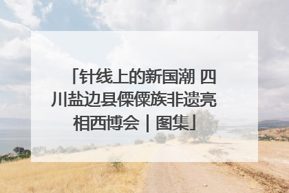 针线上的新国潮 四川盐边县傈僳族非遗亮相西博会｜图集