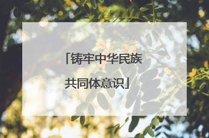 铸牢中华民族共同体意识