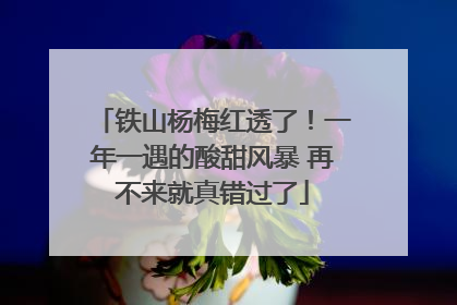 铁山杨梅红透了！一年一遇的酸甜风暴 再不来就真错过了