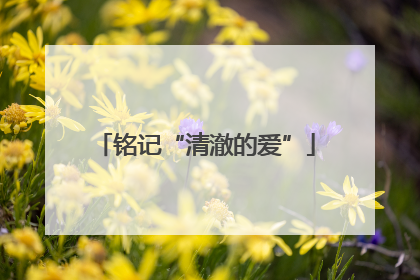 铭记“清澈的爱”