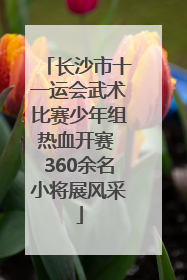 长沙市十一运会武术比赛少年组热血开赛 360余名小将展风采