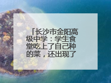 长沙市金阳高级中学：学生食堂吃上了自己种的菜，还出现了一批劳动能手