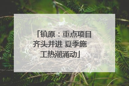 镇原：重点项目齐头并进 夏季施工热潮涌动