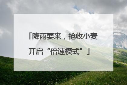 降雨要来，抢收小麦开启“倍速模式”