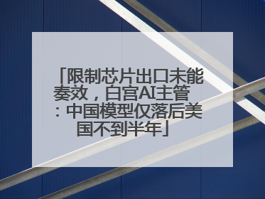 限制芯片出口未能奏效，白宫AI主管：中国模型仅落后美国不到半年