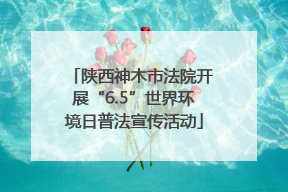 陕西神木市法院开展“6.5”世界环境日普法宣传活动