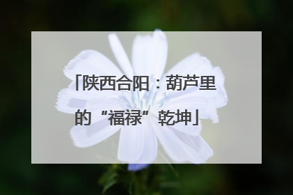 陕西合阳：葫芦里的“福禄”乾坤