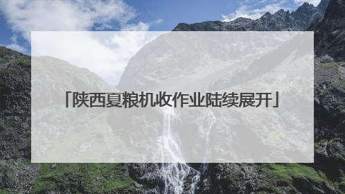 陕西夏粮机收作业陆续展开