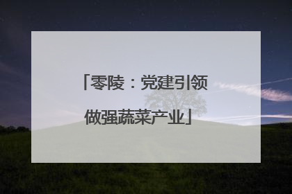 零陵：党建引领 做强蔬菜产业