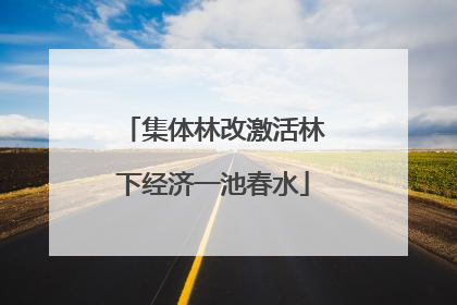 集体林改激活林下经济一池春水