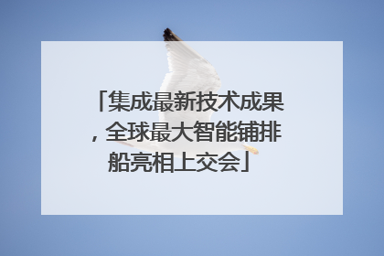 集成最新技术成果，全球最大智能铺排船亮相上交会