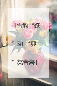 雪豹“跃”动 “典”亮青海