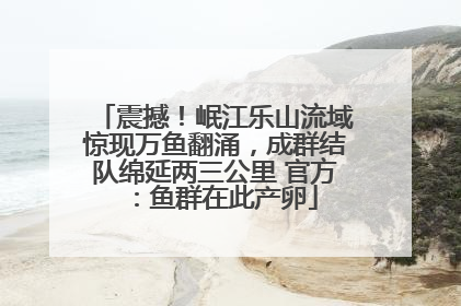 震撼！岷江乐山流域惊现万鱼翻涌，成群结队绵延两三公里 官方：鱼群在此产卵