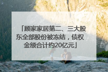 顾家家居第二、三大股东全部股份被冻结，债权金额合计约20亿元