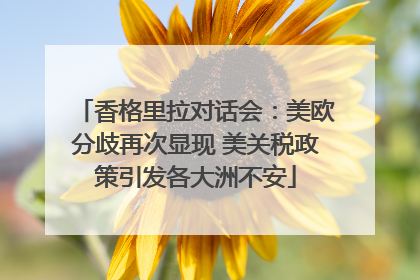 香格里拉对话会：美欧分歧再次显现 美关税政策引发各大洲不安