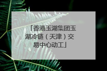 香港玉湖集团玉湖冷链（天津）交易中心动工