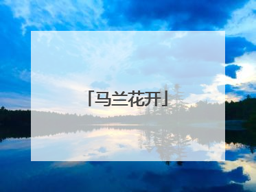 马兰花开