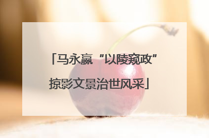 马永嬴“以陵窥政” 掠影文景治世风采
