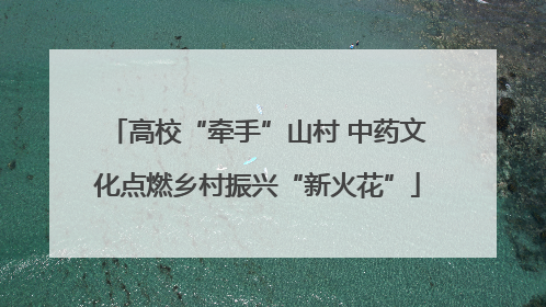 高校“牵手”山村 中药文化点燃乡村振兴“新火花”