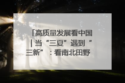 高质量发展看中国｜当“三夏”遇到“三新”：看南北田野里的科技共生记