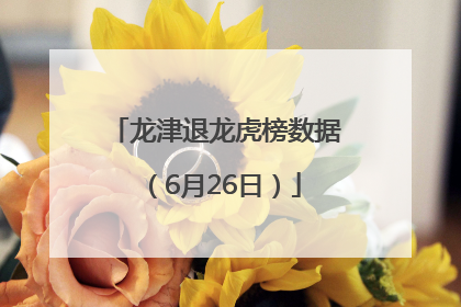 龙津退龙虎榜数据（6月26日）