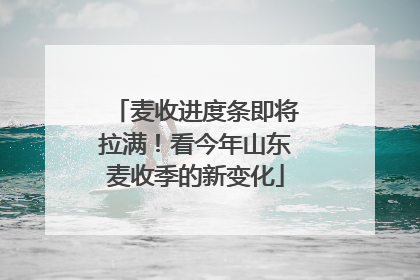 麦收进度条即将拉满！看今年山东麦收季的新变化
