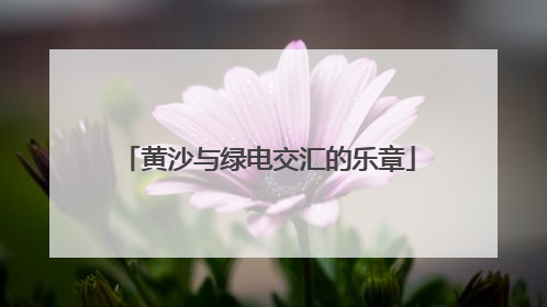 黄沙与绿电交汇的乐章