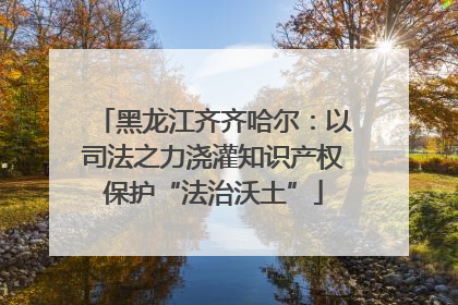 黑龙江齐齐哈尔：以司法之力浇灌知识产权保护“法治沃土”