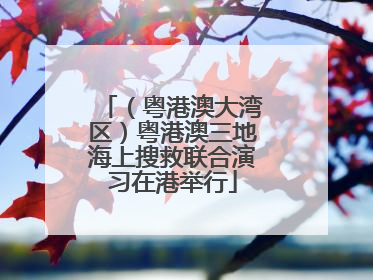 （粤港澳大湾区）粤港澳三地海上搜救联合演习在港举行